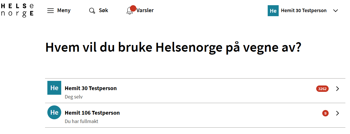 Skisse